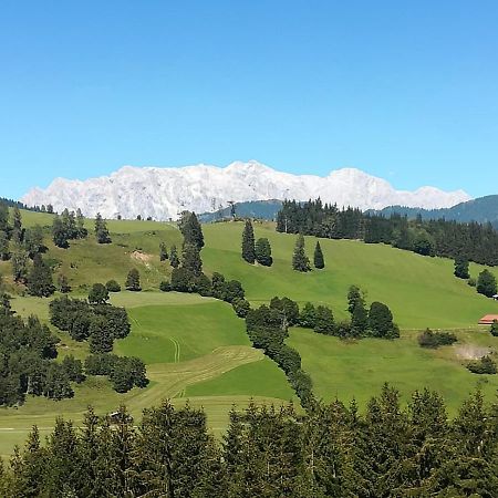 Apartment Hochkoenigblick Pilzegg Embach 外观 照片
