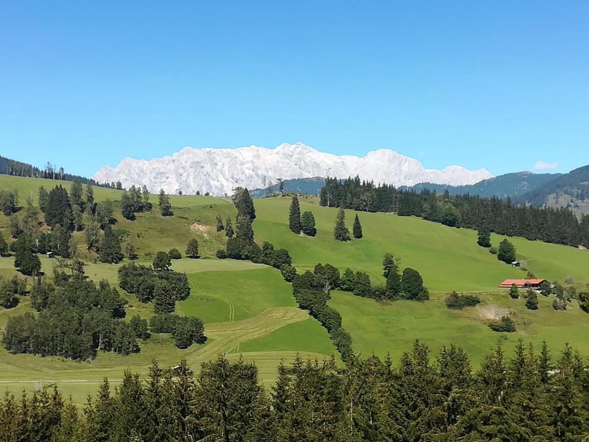 Apartment Hochkoenigblick Pilzegg Embach 外观 照片