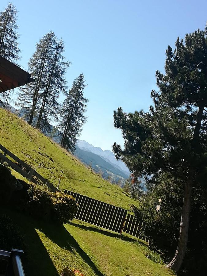 Apartment Hochkoenigblick Pilzegg Embach 外观 照片